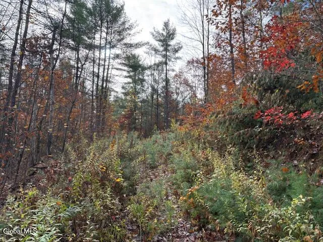 $79,900 | 954 B State Highway 9N, Au Sable, NY 12944