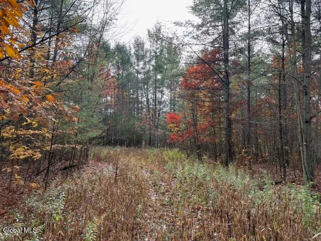 $79,900 | 954 B State Highway 9N, Au Sable, NY 12944