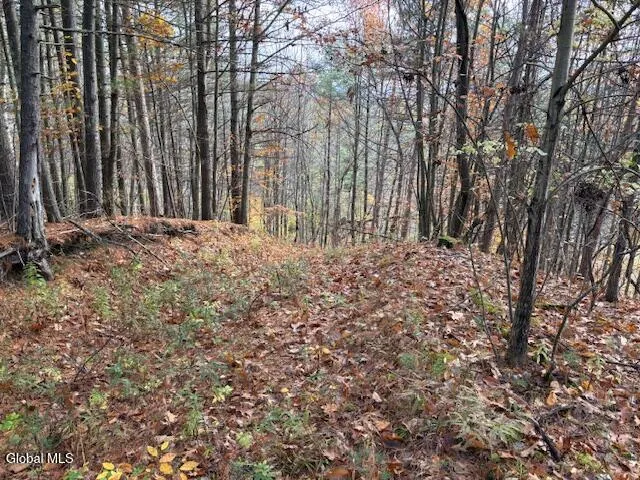 $79,900 | 954 B State Highway 9N, Au Sable, NY 12944