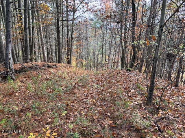 954 B State Highway 9N Au Sable, NY 12944 - Photo 21 of 26 IMG_2934 (2)