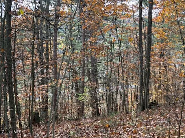 $79,900 | 954 B State Highway 9N, Au Sable, NY 12944