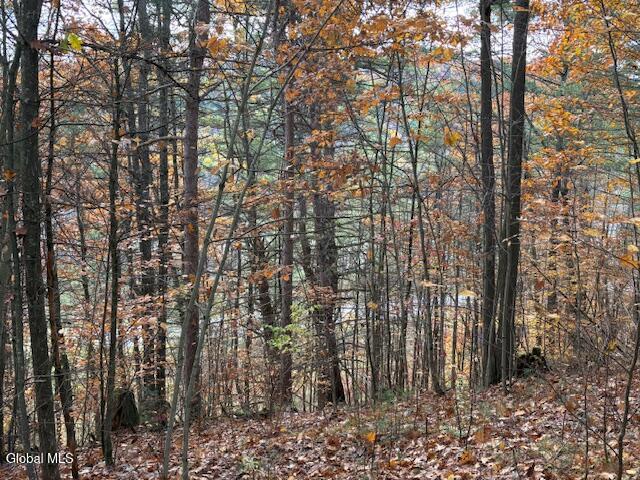 954 B State Highway 9N Au Sable, NY 12944 - Photo 22 of 26 IMG_2936 (1)