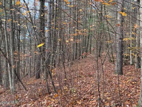 $69,900 | 954 B State Highway 9N, Au Sable, NY 12944