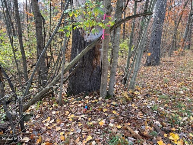 954 B State Highway 9N Au Sable, NY 12944 - Photo 25 of 26 Survey Pin Cold Springs Frontage