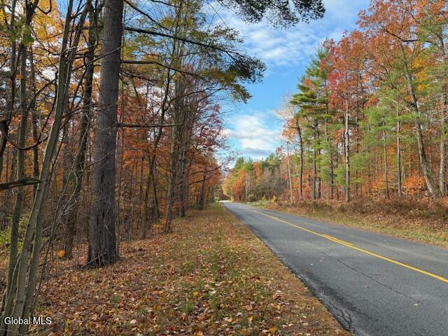 954 B State Highway 9N Au Sable, NY 12944 - Photo 3 of 26 Frontage Cold Spring Road Looking South