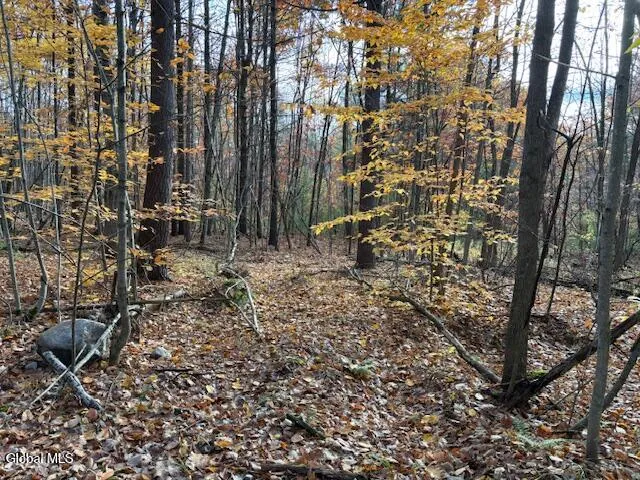 $79,900 | 954 B State Highway 9N, Au Sable, NY 12944