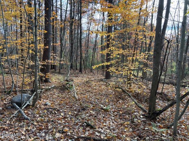 954 B State Highway 9N Au Sable, NY 12944 - Photo 4 of 26 IMG_2915 (1)