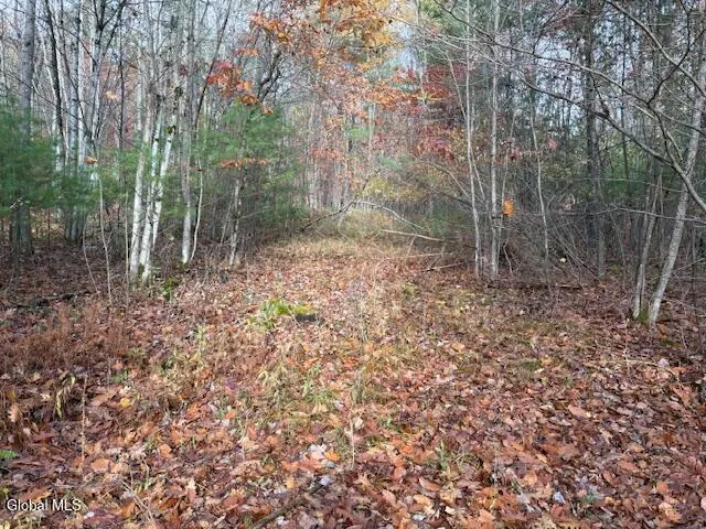 $79,900 | 954 B State Highway 9N, Au Sable, NY 12944