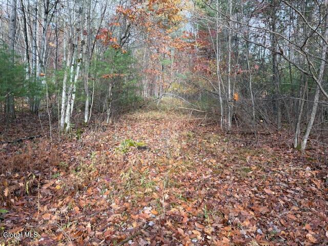 954 B State Highway 9N Au Sable, NY 12944 - Photo 5 of 26 IMG_2916 (1)