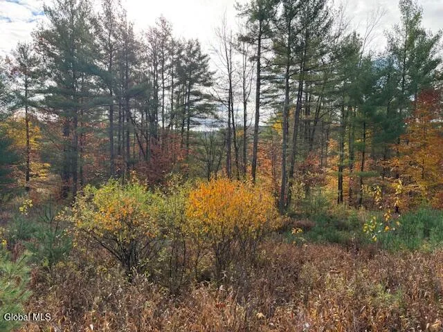 $79,900 | 954 B State Highway 9N, Au Sable, NY 12944