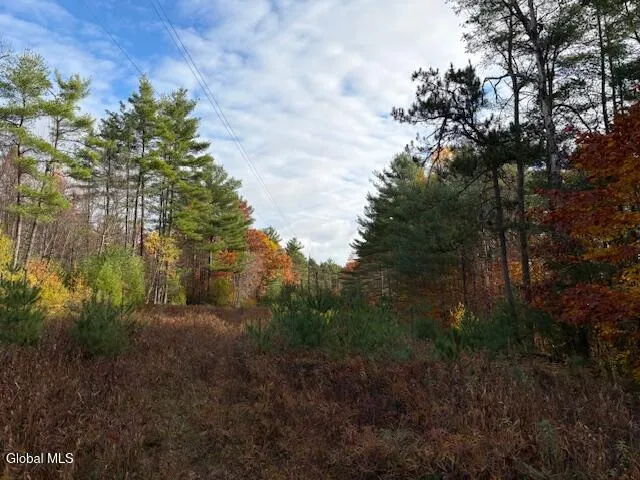 $79,900 | 954 B State Highway 9N, Au Sable, NY 12944