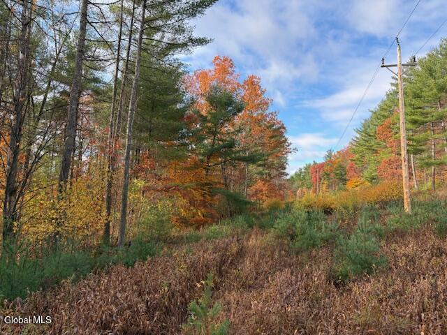 954 B State Highway 9N Au Sable, NY 12944 - Photo 8 of 26 IMG_2919 (1)