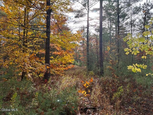 954 B State Highway 9N Au Sable, NY 12944 - Photo 10 of 26 IMG_2921 (1)