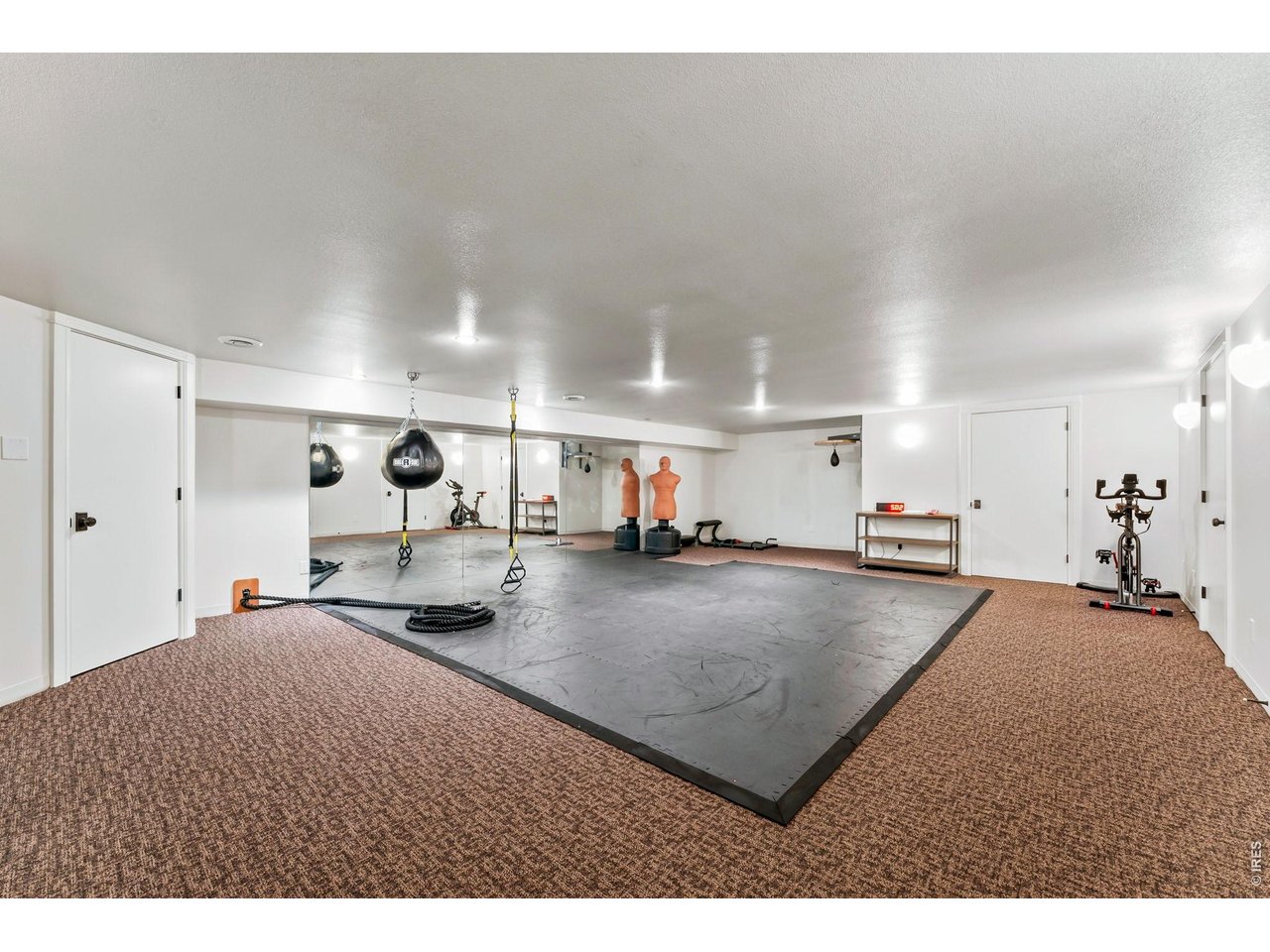 6558 Rookery Road Fort Collins, CO 80528 - Photo 32 of 50 Exercise Room