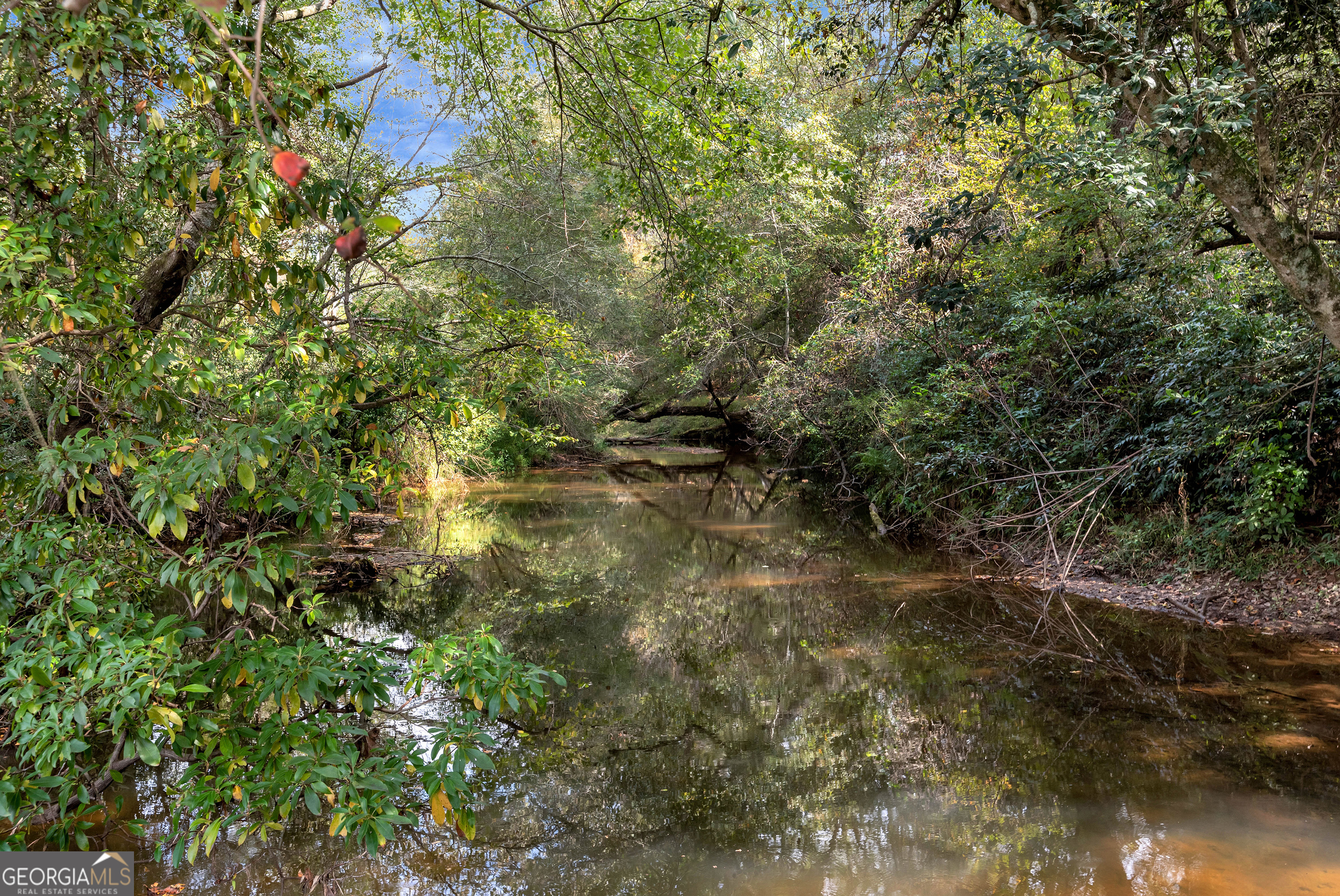 425 Crystal Way Cornelia, GA 30531 - Photo 26 of 46 a view of a forest