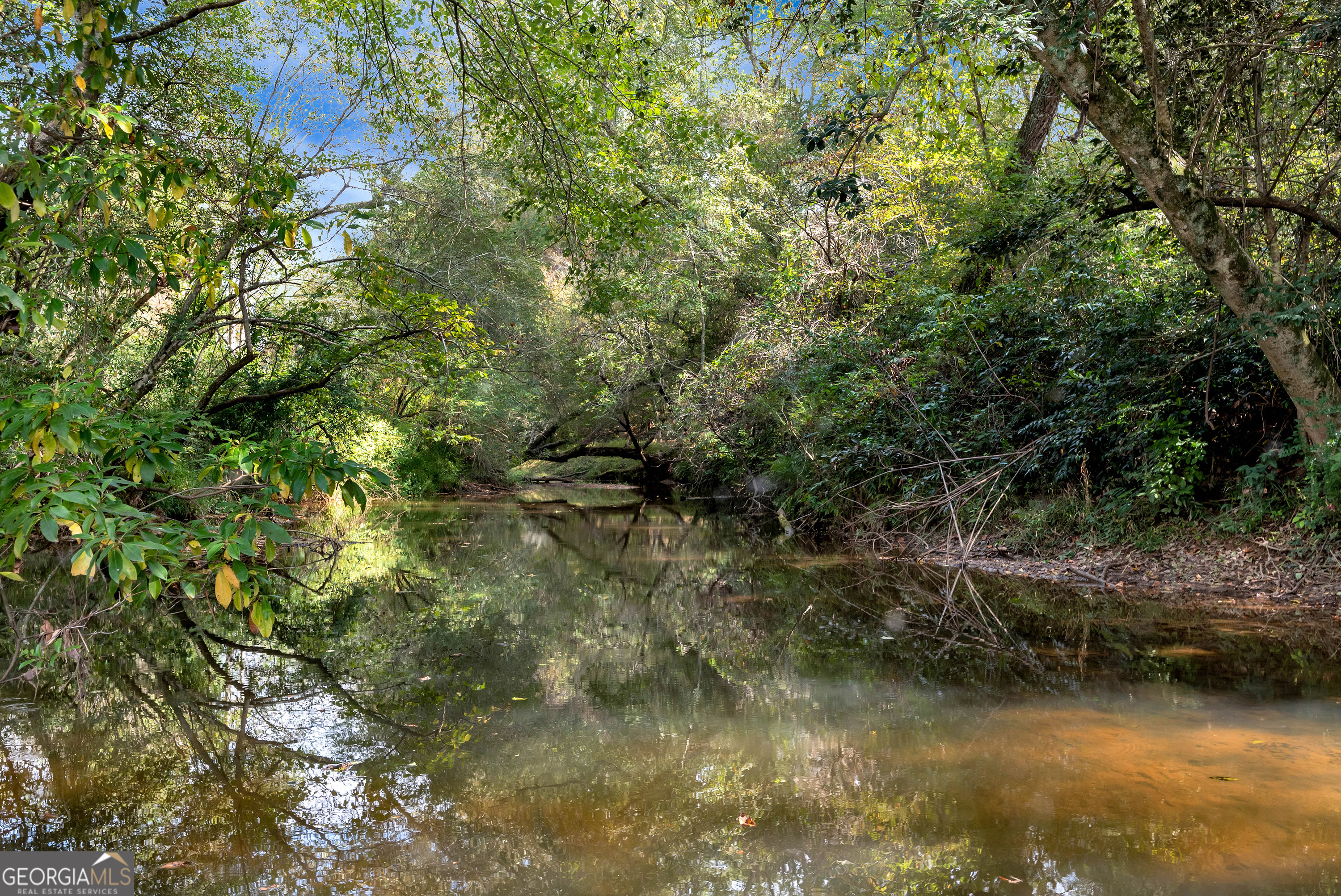 425 Crystal Way Cornelia, GA 30531 - Photo 45 of 46 a view of a lake with lots of trees