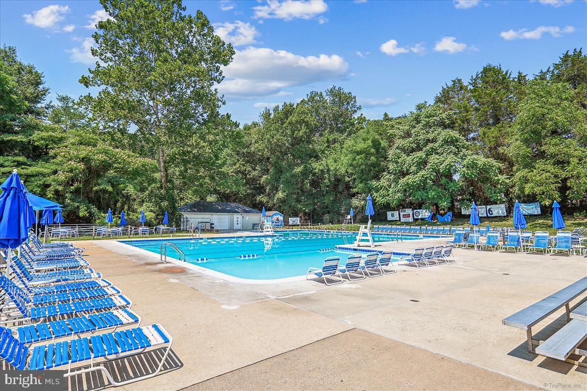 3605 Colony Road Fairfax, VA 22030 - Photo 57 of 78 Community Pool