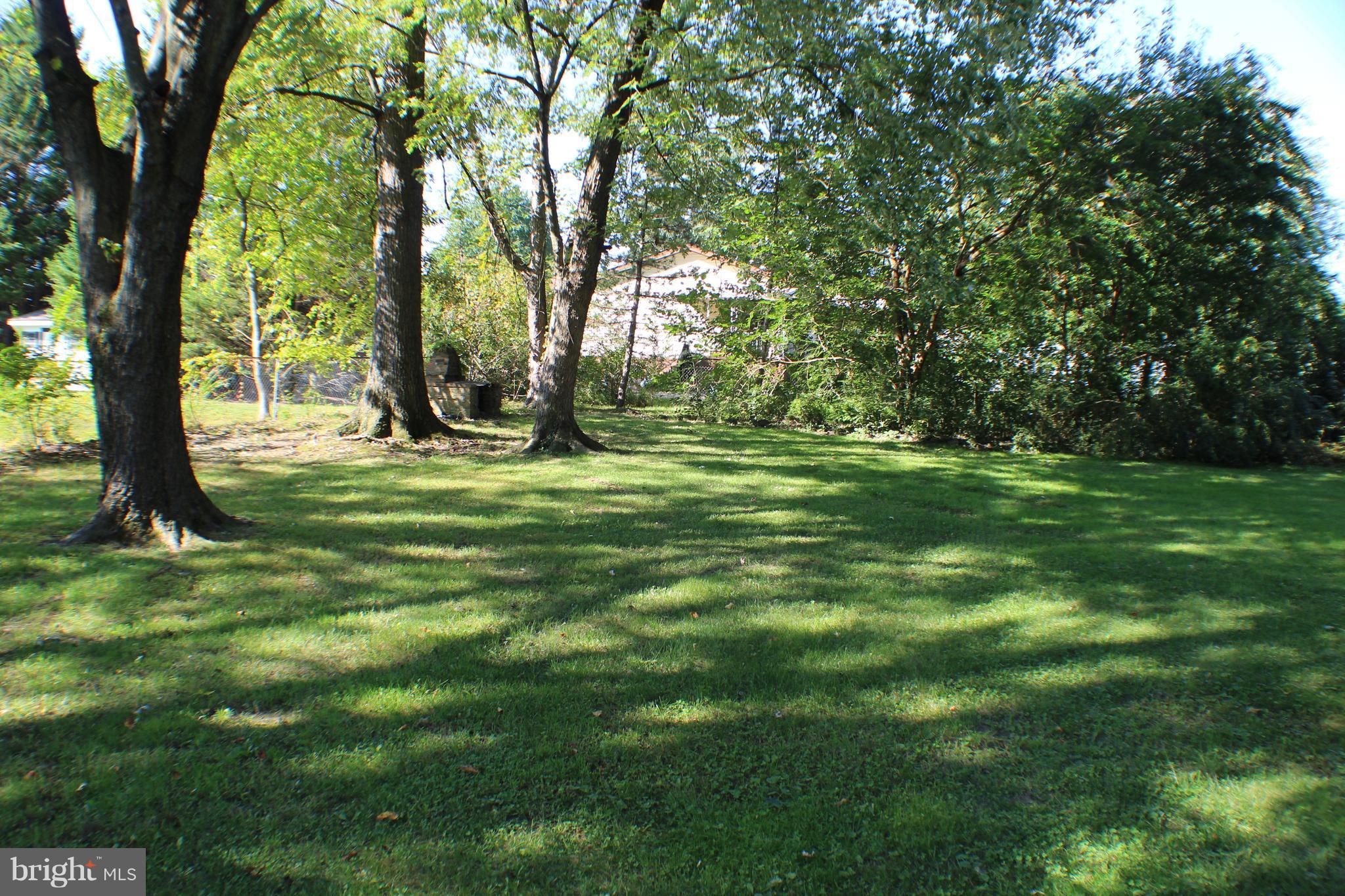 332 Worton Road Baltimore, MD 21221 - Photo 9 of 18 a big yard with trees