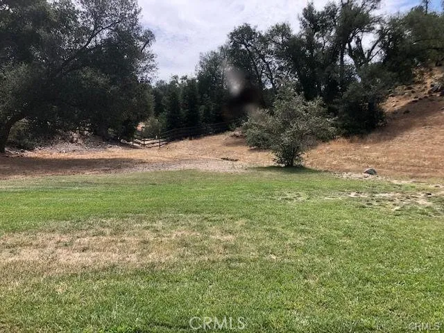 a view of a field with a tree