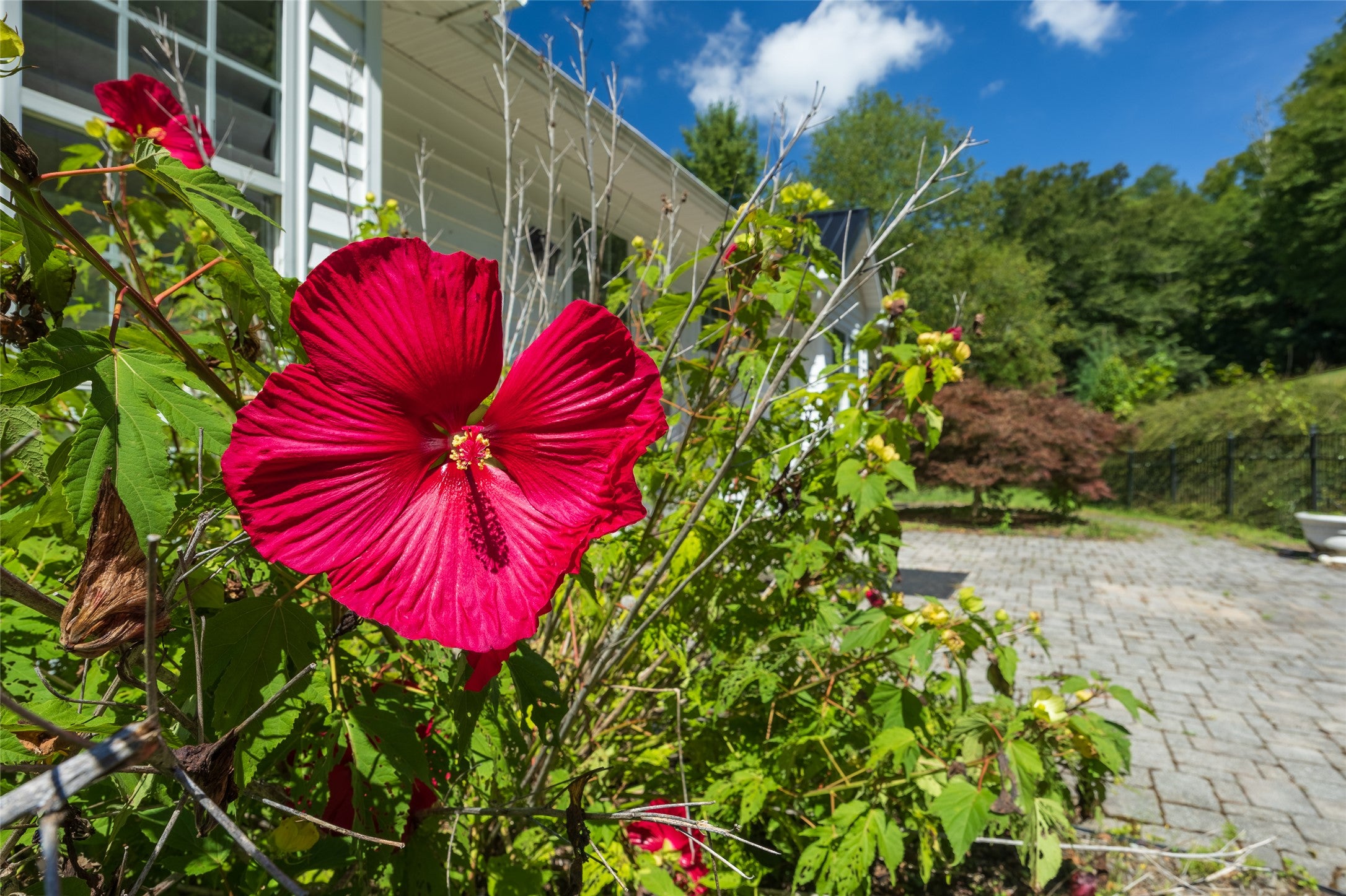 2888 Mill Creek Road Cullowhee, NC 28723 - Photo 85 of 97 Gallery Image 85