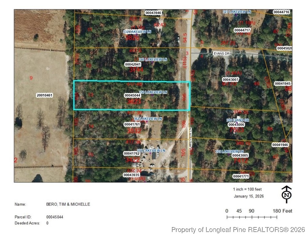 350 Lakeview Lane Cameron, NC 28326 - Photo 2 of 8 GIS aerial view