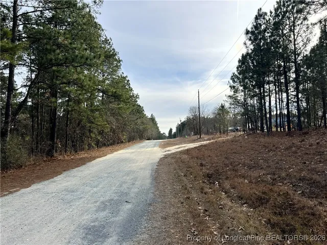 a view of dirt yard with a trees