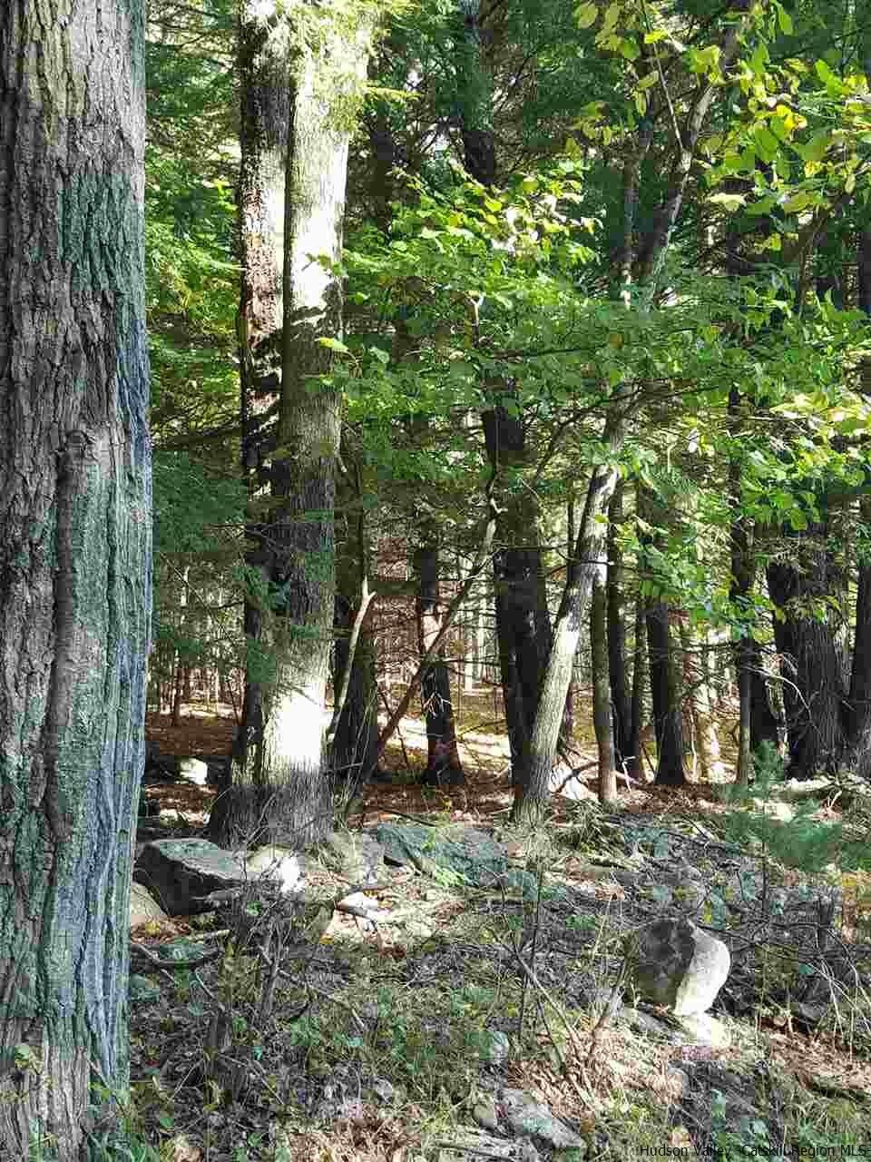 Lot 6 Lot Road Kerhonkson, NY 12446 - Photo 2 of 4 Photo 2