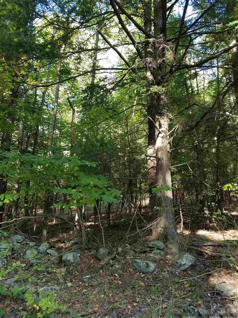 Lot 6 Lot Road Kerhonkson, NY 12446 - Photo 3 of 4 Photo 3