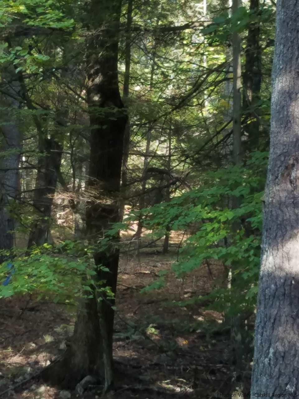 Lot 6 Lot Road Kerhonkson, NY 12446 - Photo 4 of 4 Photo 4