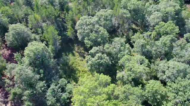 $43,000 | 30057 Crystal Lake Drive, Webb Lake, WI 54830