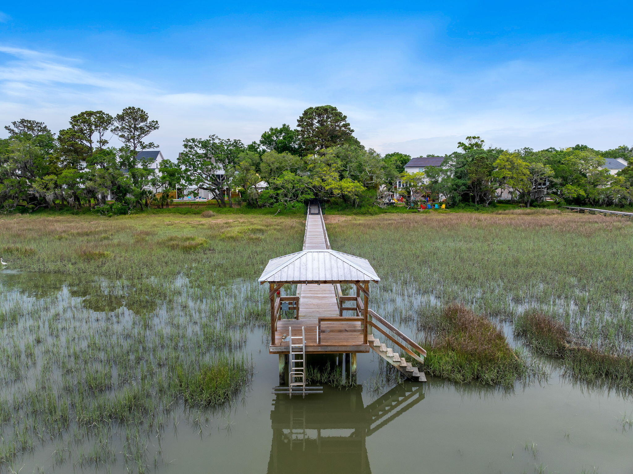 1234 Captain Rivers Drive Charleston, SC 29412 - Photo 38 of 42 CommunityDock
