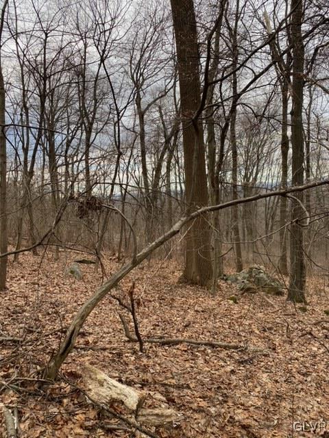 Diehl Road Easton, PA 18042 - Photo 1 of 3 a view of wooden fence and trees