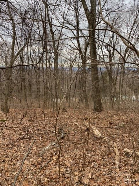 Diehl Road Easton, PA 18042 - Photo 2 of 3 a view of a yard with lots of bushes