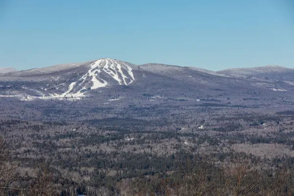 $750,000 | 57 Pearl Buck Drive, Unit 33, Winhall, VT 05340