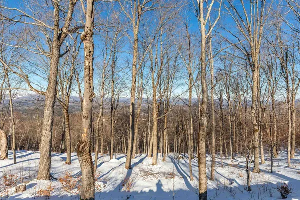 $750,000 | 57 Pearl Buck Drive, Unit 33, Winhall, VT 05340