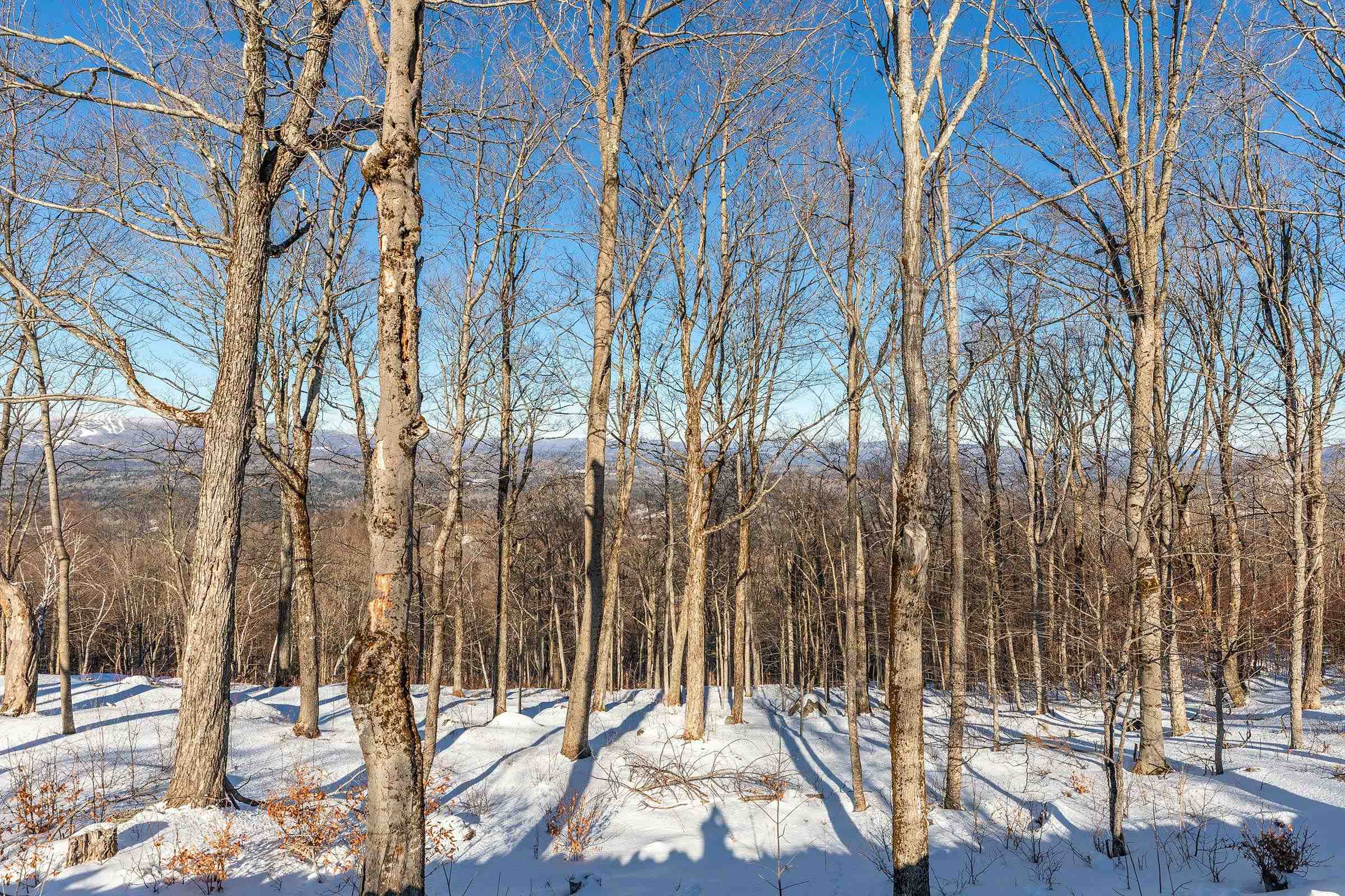 57 Pearl Buck Drive, Unit 33 Winhall, VT 05340 - Photo 44 of 50