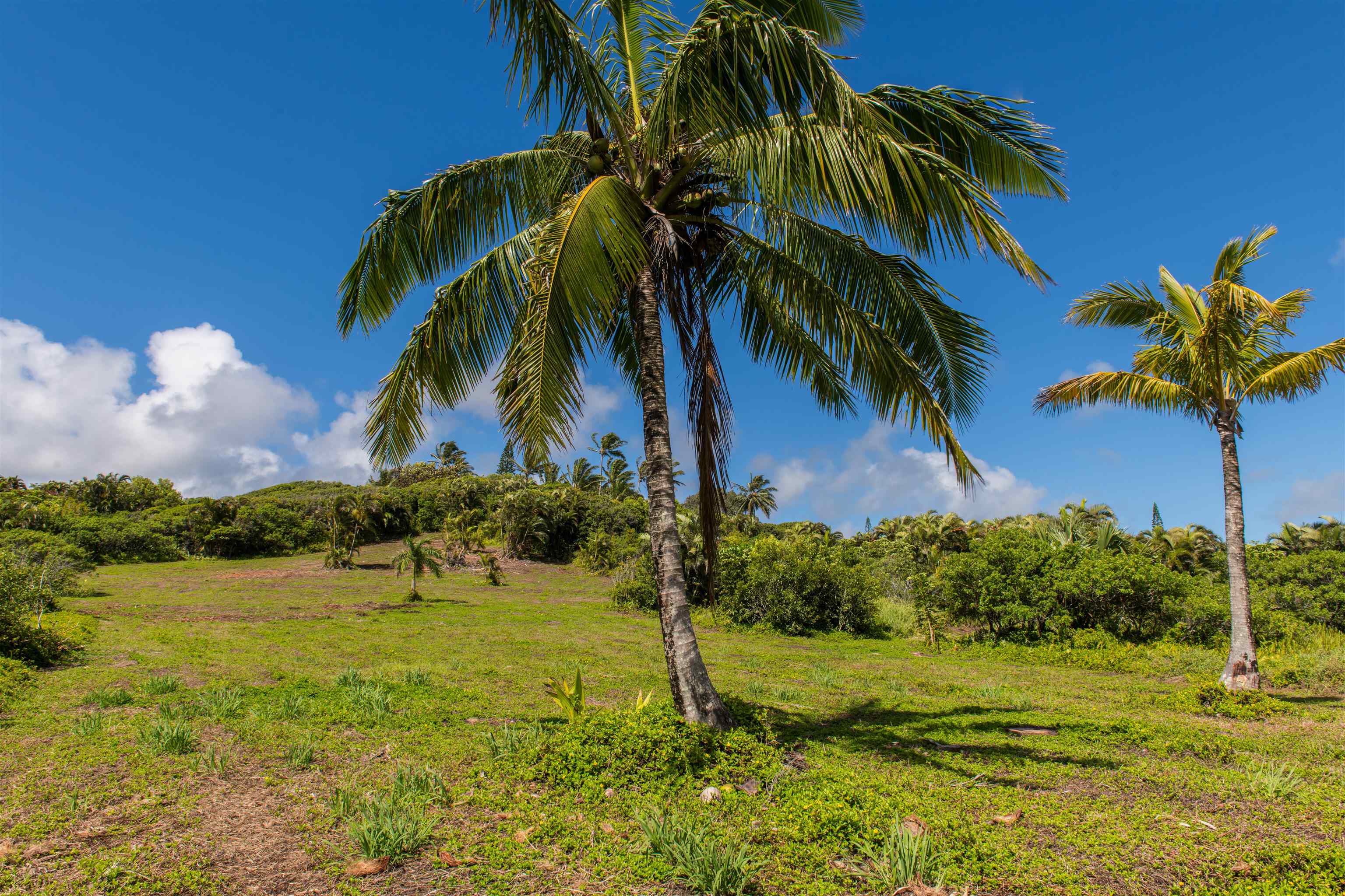 601 North Honokala Road, Unit A Haiku, HI 96708 - Photo 23 of 26
