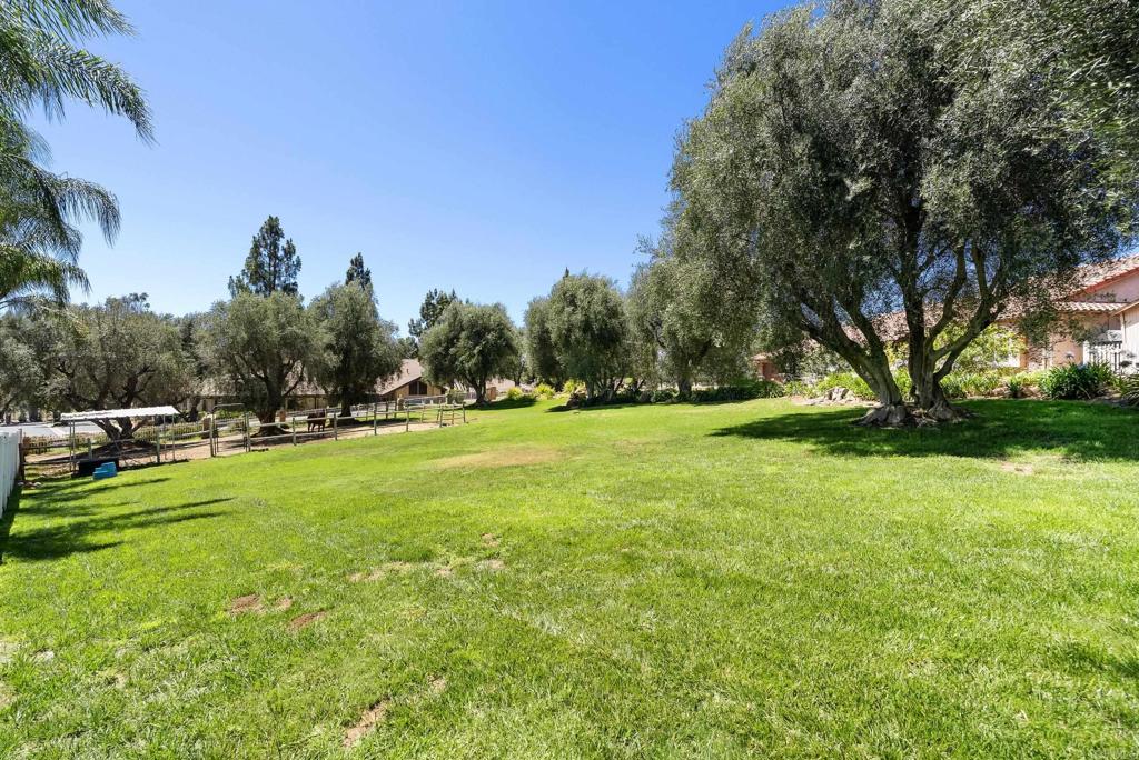 2365 Shaylene Way Alpine, CA 91901 - Photo 47 of 57