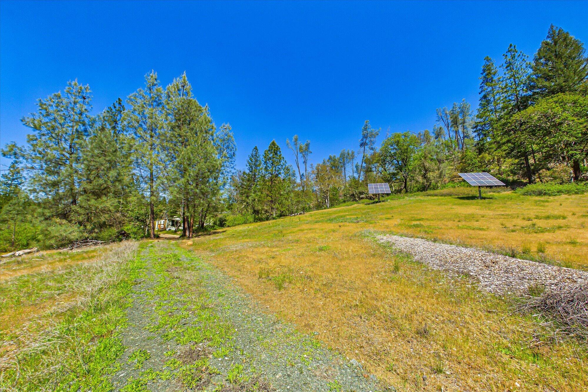 6691 Reading Creek Road Douglas City, CA 96024 - Photo 85 of 101 085-6691 Reading Creek-383