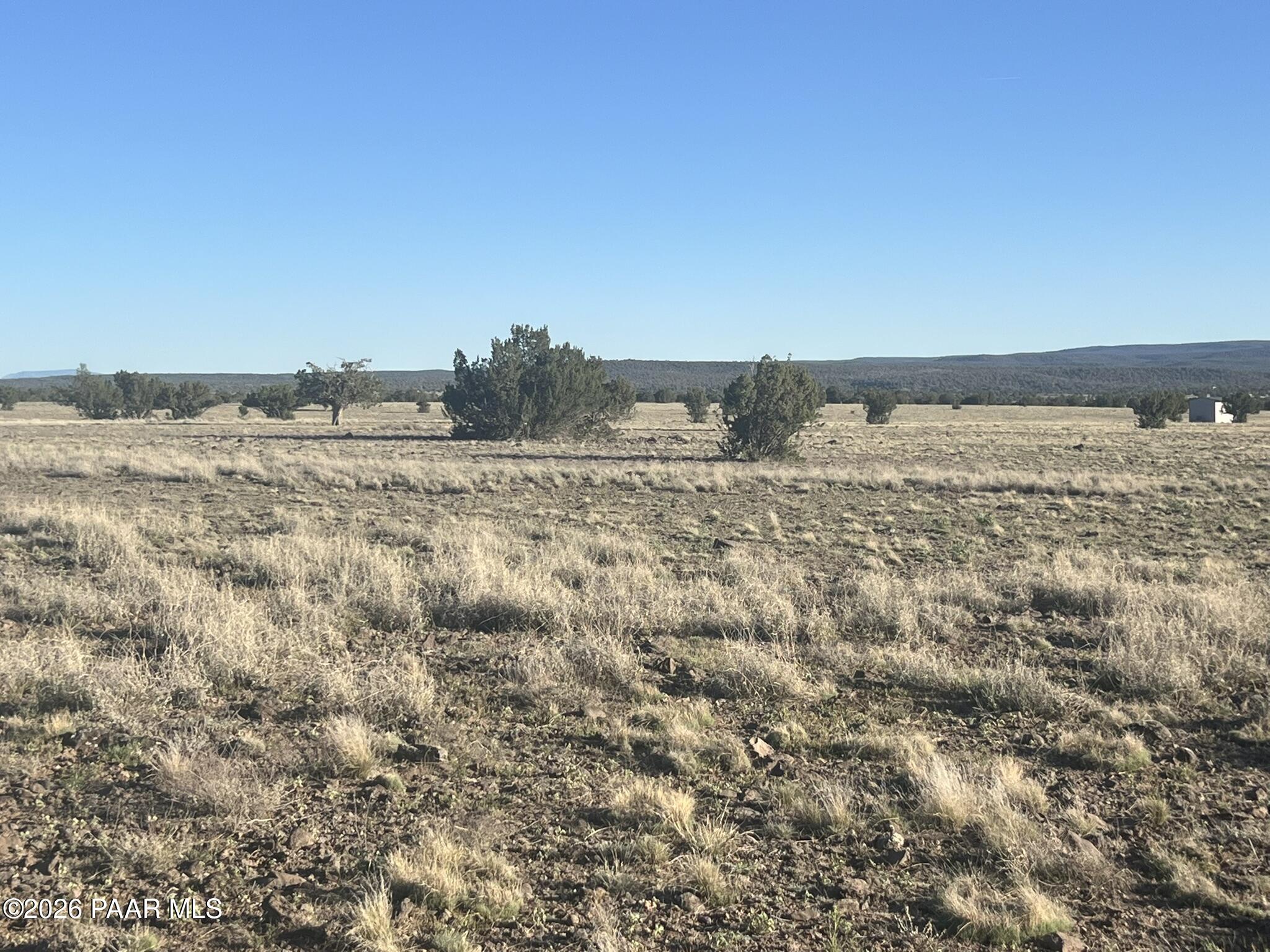 293 Arizona Rd Eastern Portion Ash Fork, AZ 86320 - Photo 2 of 6 IMG_9771