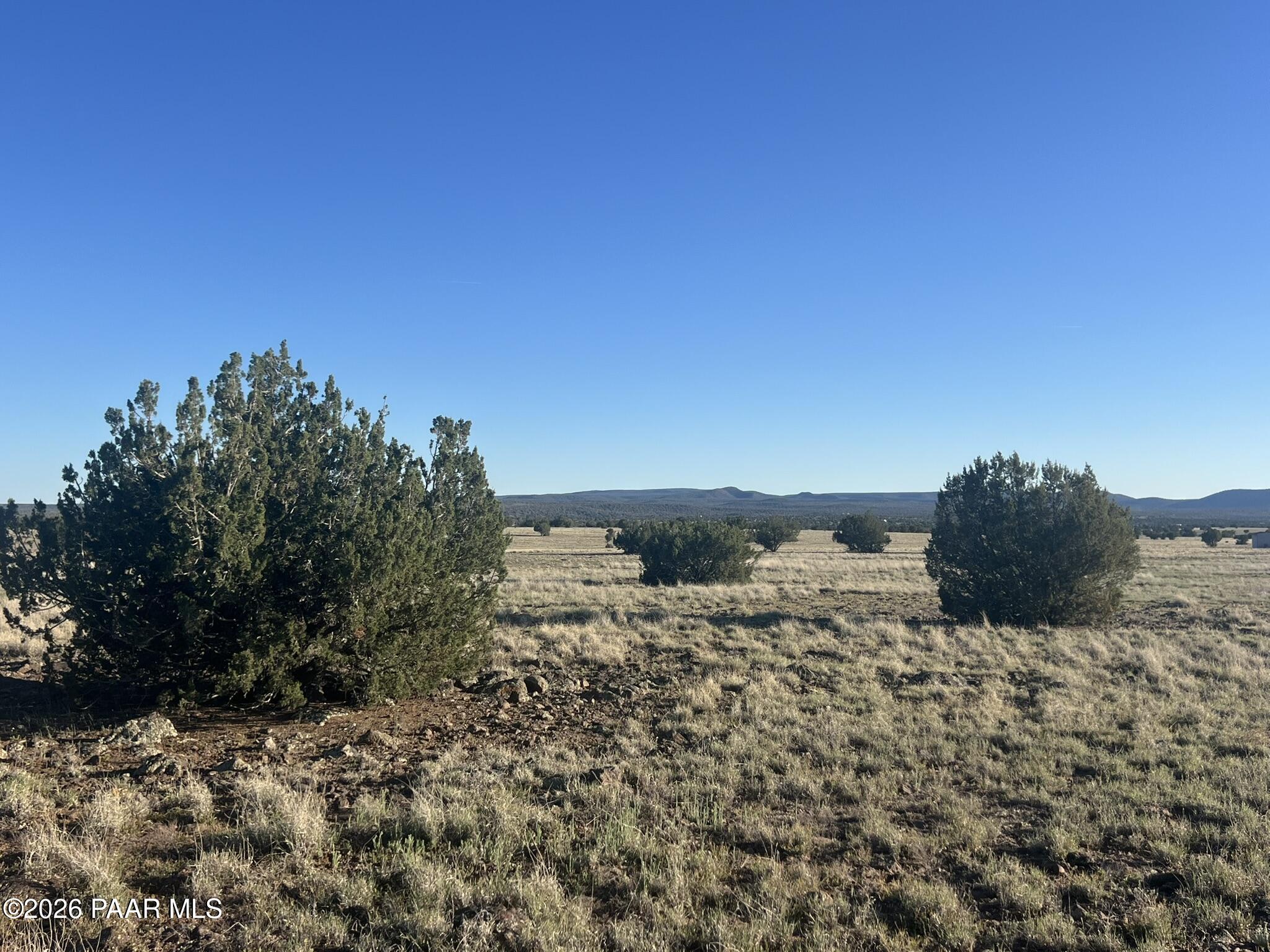 293 Arizona Rd Eastern Portion Ash Fork, AZ 86320 - Photo 4 of 6 IMG_9773