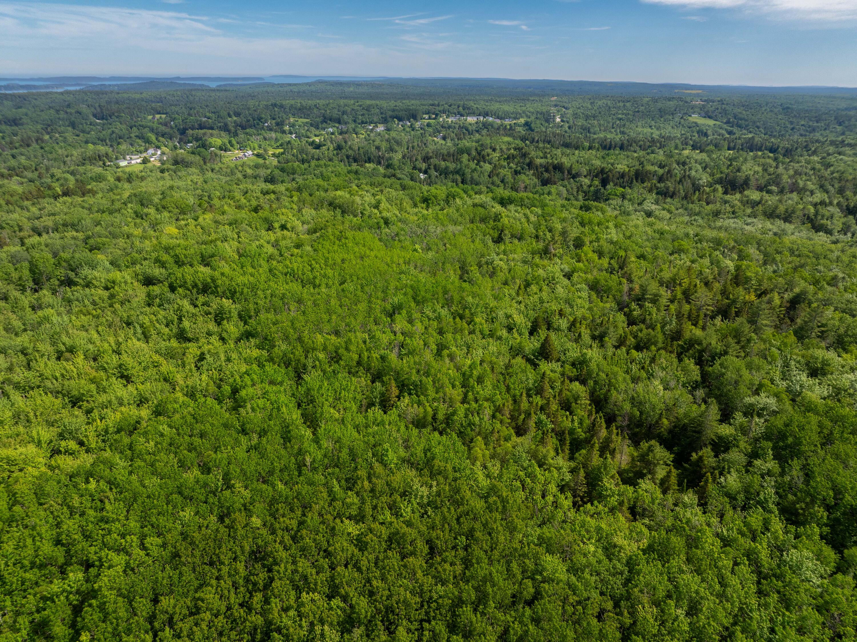 Lot #28 Station Road Jonesboro, ME 04648 - Photo 16 of 26 6-17-26 Station Rd Lot Jonesboro (7 of 2