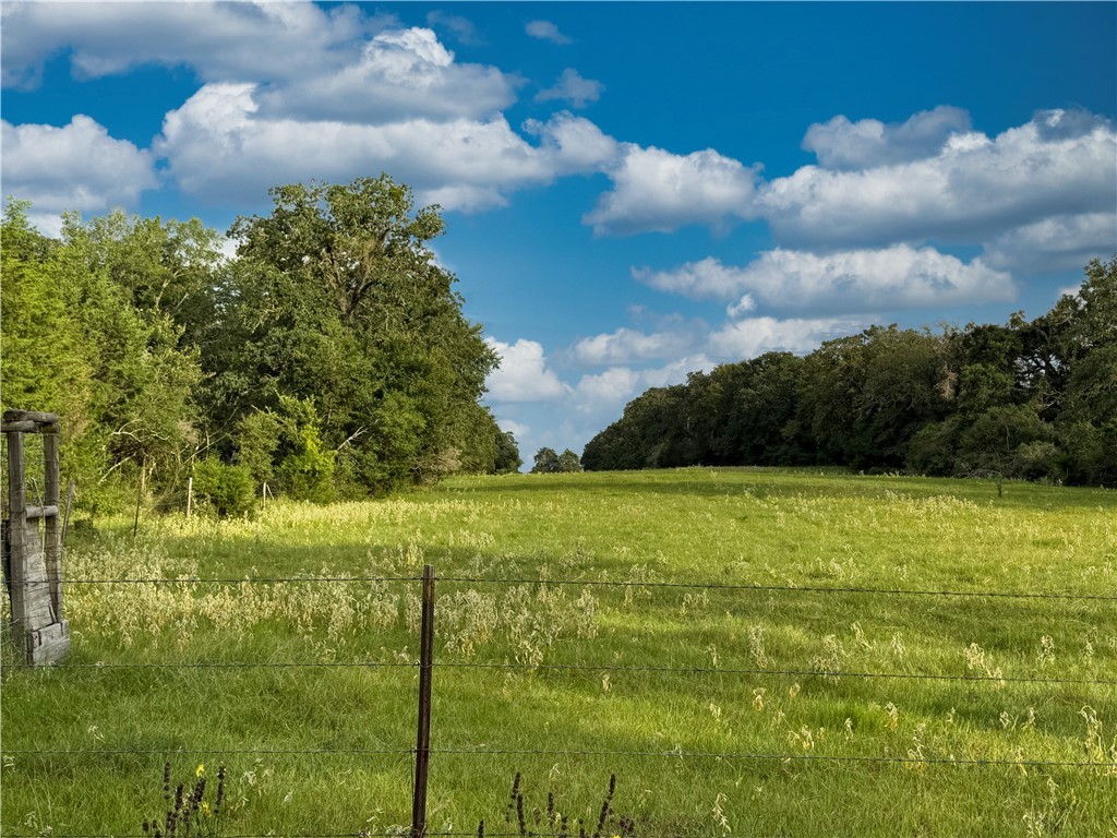 Tbd Tbd Old Hickory Grove Road Northeast, Unit COUNTYROAD Franklin, TX 77856 - Photo 11 of 48 a view of an ocean view