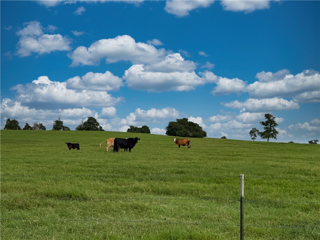 Tbd Tbd Old Hickory Grove Road Northeast, Unit COUNTYROAD Franklin, TX 77856 - Photo 13 of 48 a view of a golf course with a lake