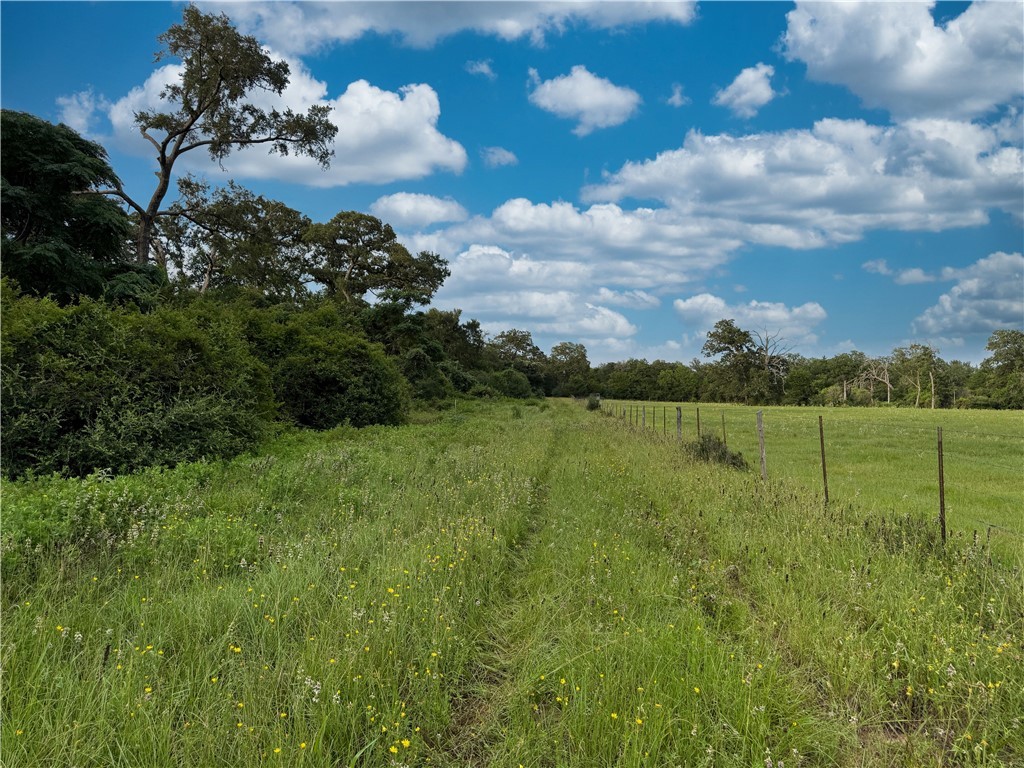 Tbd Tbd Old Hickory Grove Road Northeast, Unit COUNTYROAD Franklin, TX 77856 - Photo 15 of 48 a view of a lake with a big yard