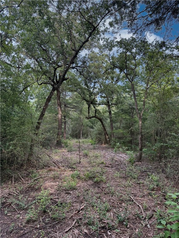 Tbd Tbd Old Hickory Grove Road Northeast, Unit COUNTYROAD Franklin, TX 77856 - Photo 19 of 48 a view of a forest with trees in the background