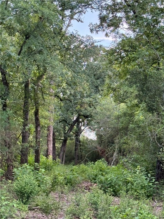 Tbd Tbd Old Hickory Grove Road Northeast, Unit COUNTYROAD Franklin, TX 77856 - Photo 20 of 48 a view of a lush green forest with large trees