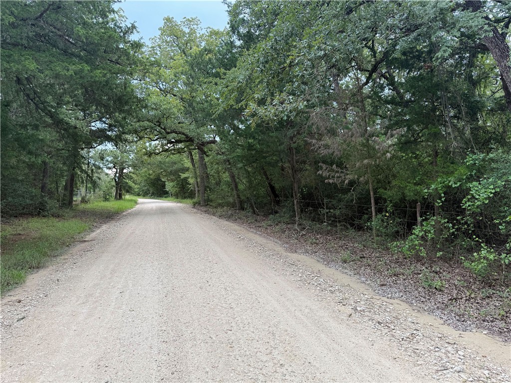 Tbd Tbd Old Hickory Grove Road Northeast, Unit COUNTYROAD Franklin, TX 77856 - Photo 2 of 48 a view of a road with trees in the background
