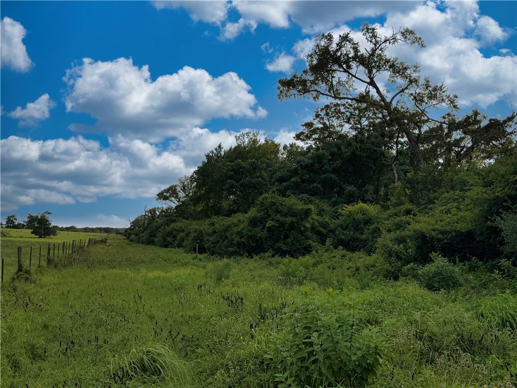 Tbd Tbd Old Hickory Grove Road Northeast, Unit COUNTYROAD Franklin, TX 77856 - Photo 26 of 48 a view of a green field