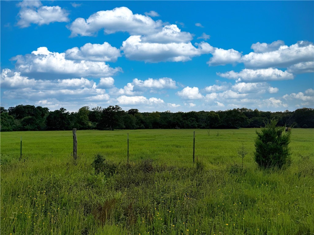 Tbd Tbd Old Hickory Grove Road Northeast, Unit COUNTYROAD Franklin, TX 77856 - Photo 27 of 48 a view of outdoor space and yard